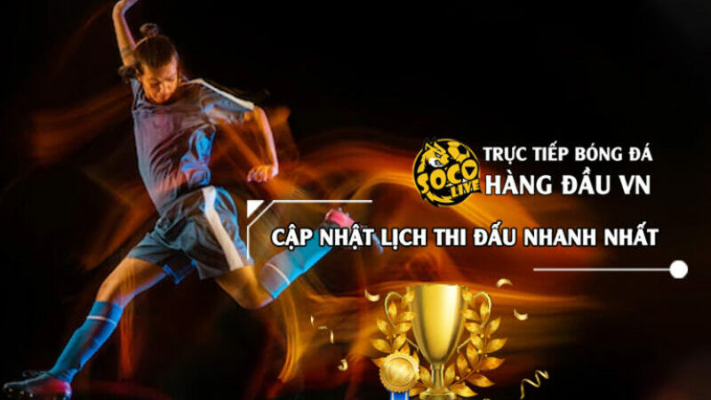 Web tructiepbongda Socolive – Giải pháp tuyệt vời cho tín đồ bóng đá bận rộn