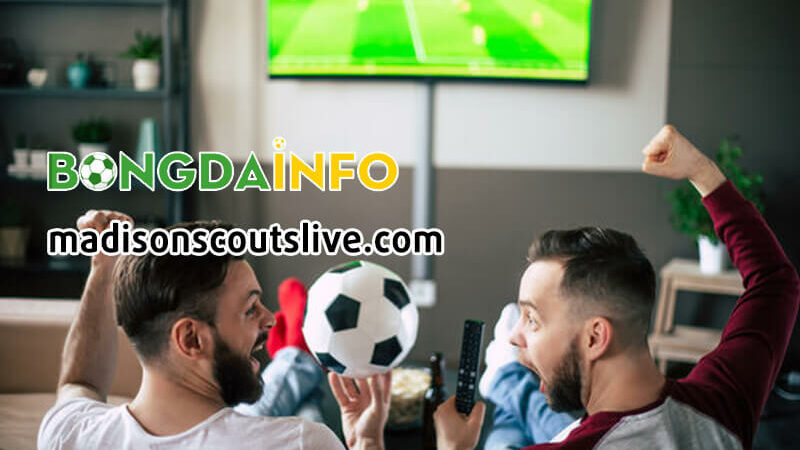 Bongdalu – Góc nhìn thực tế về nền tảng soikeo và cập nhật kèo uy tín dành cho anh em đam mê cá cược